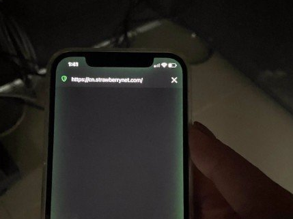 iPhone12ɢ�l(f��)���G�⡱���ڃ�(n��i)��Փ�� ����²�