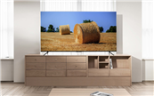 �ܽ^�I�N���^������Mini LED�ҕֵ�����֣����u��99%